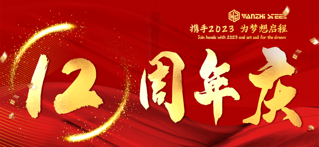12º Aniversario de Wanzhi Group
