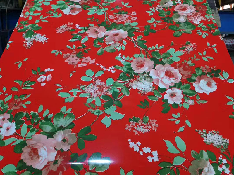 Lámina Pintro lisa con Superficie Especial - Flores Rojo