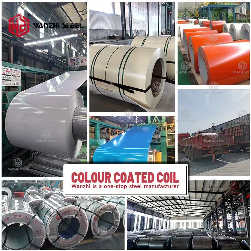 Bobinas de acero galvanizado y galvalume prepintado - Grupo Wanzhi